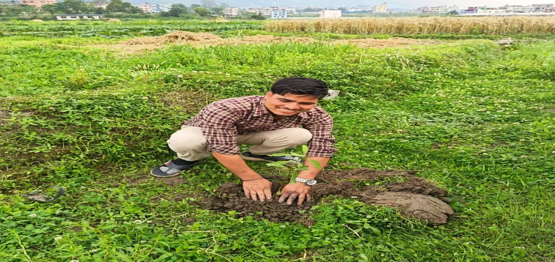 PLANTATION