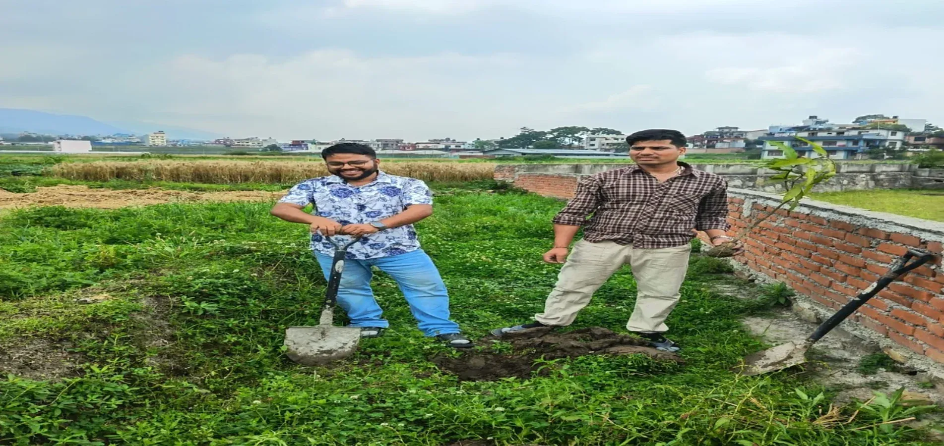 PLANTATION