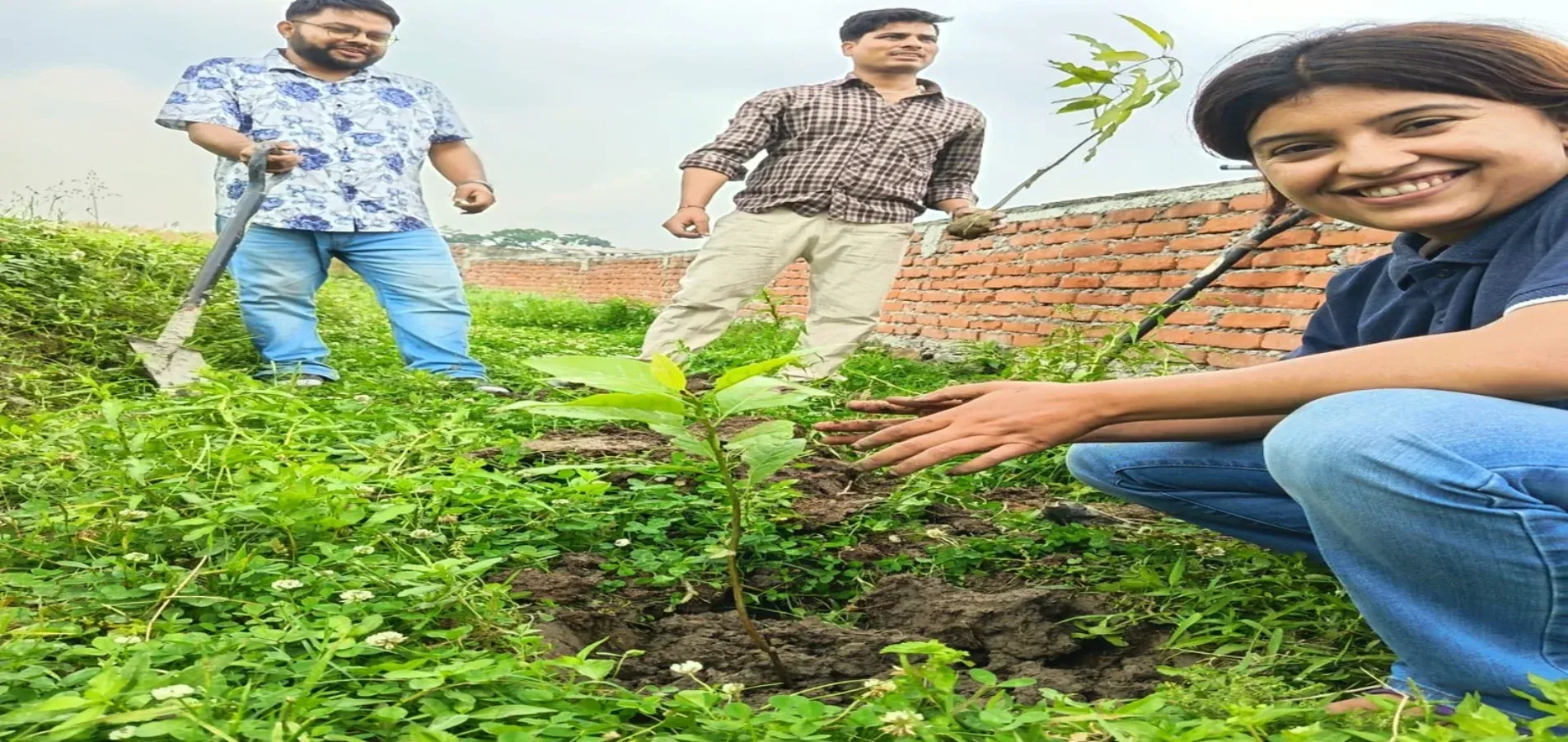PLANTATION