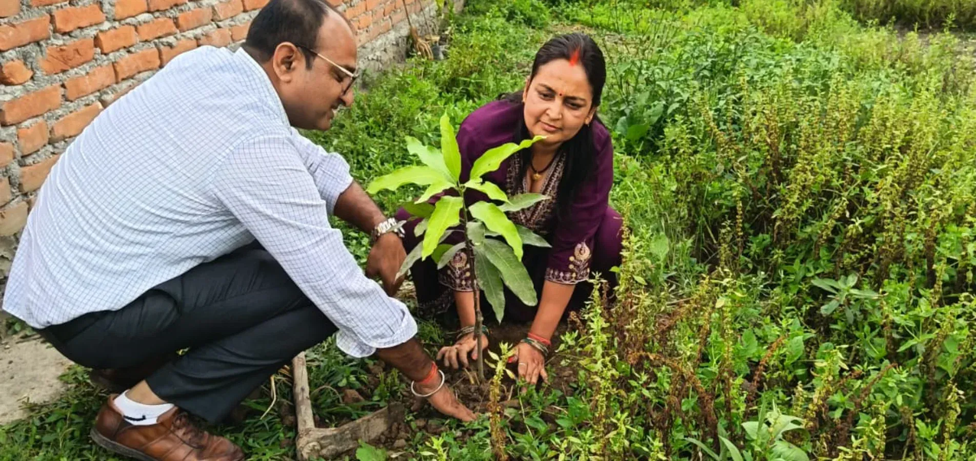 PLANTATION